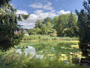 Ein Anwesen mit besonderem Charakter! – 99098 Erfurt – Vorschaubild 4