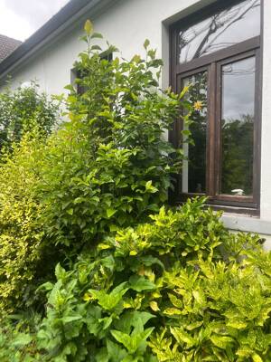k.A. – 28357 Bremen – Vorschaubild 7