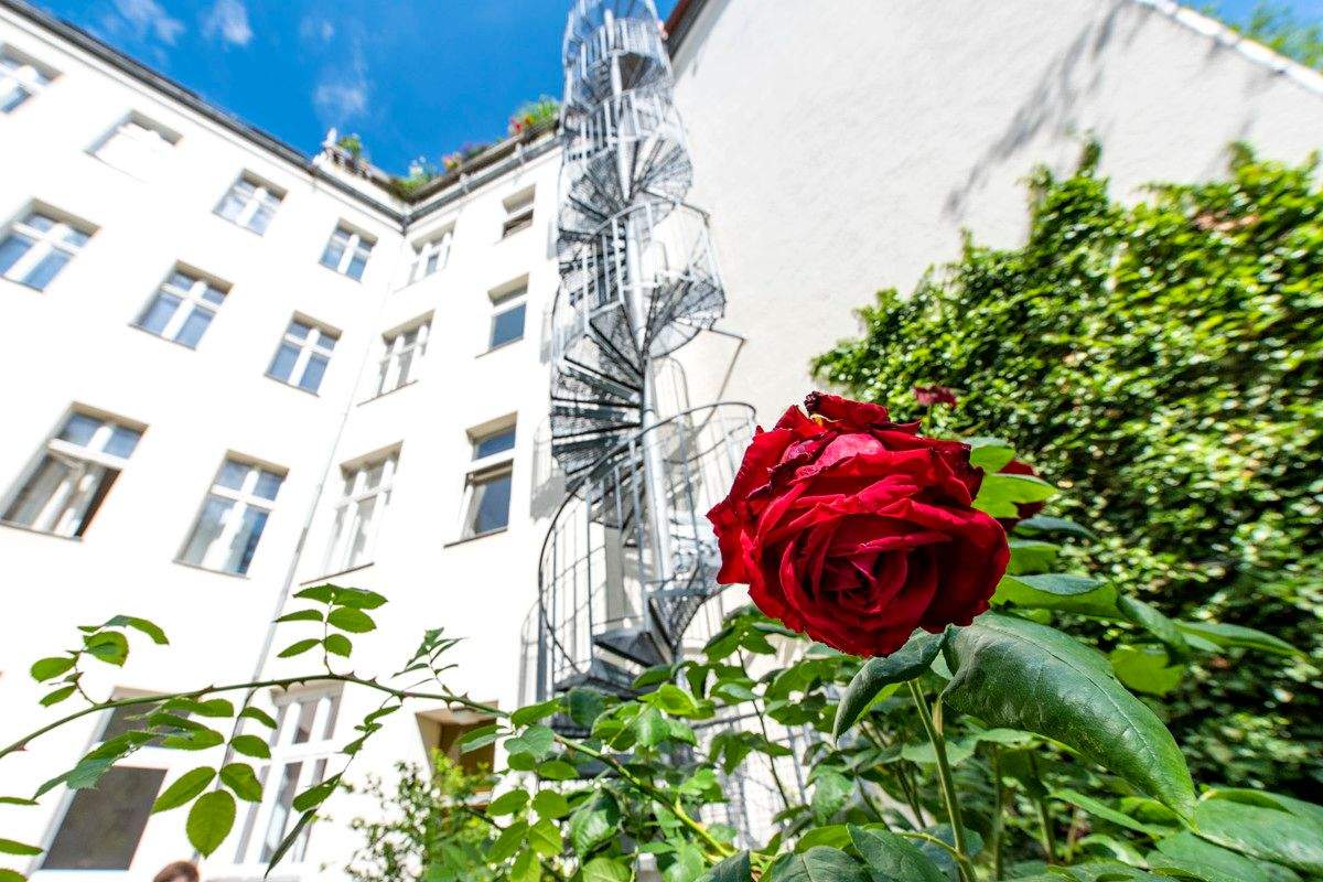 Ausgezeichnete Wohnlage! Vermietete Kapitalanlage-Wohnung mit Balkon nahe Stadtpark Steglitz – Berlin – Vorschaubild 8