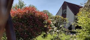 freistehendes 2-Familienhaus mit Garage und Carport in ruhiger Lage im Norden von Bremen/ Ortsteil Rekum – 28777 Bremen – Vorschaubild 6
