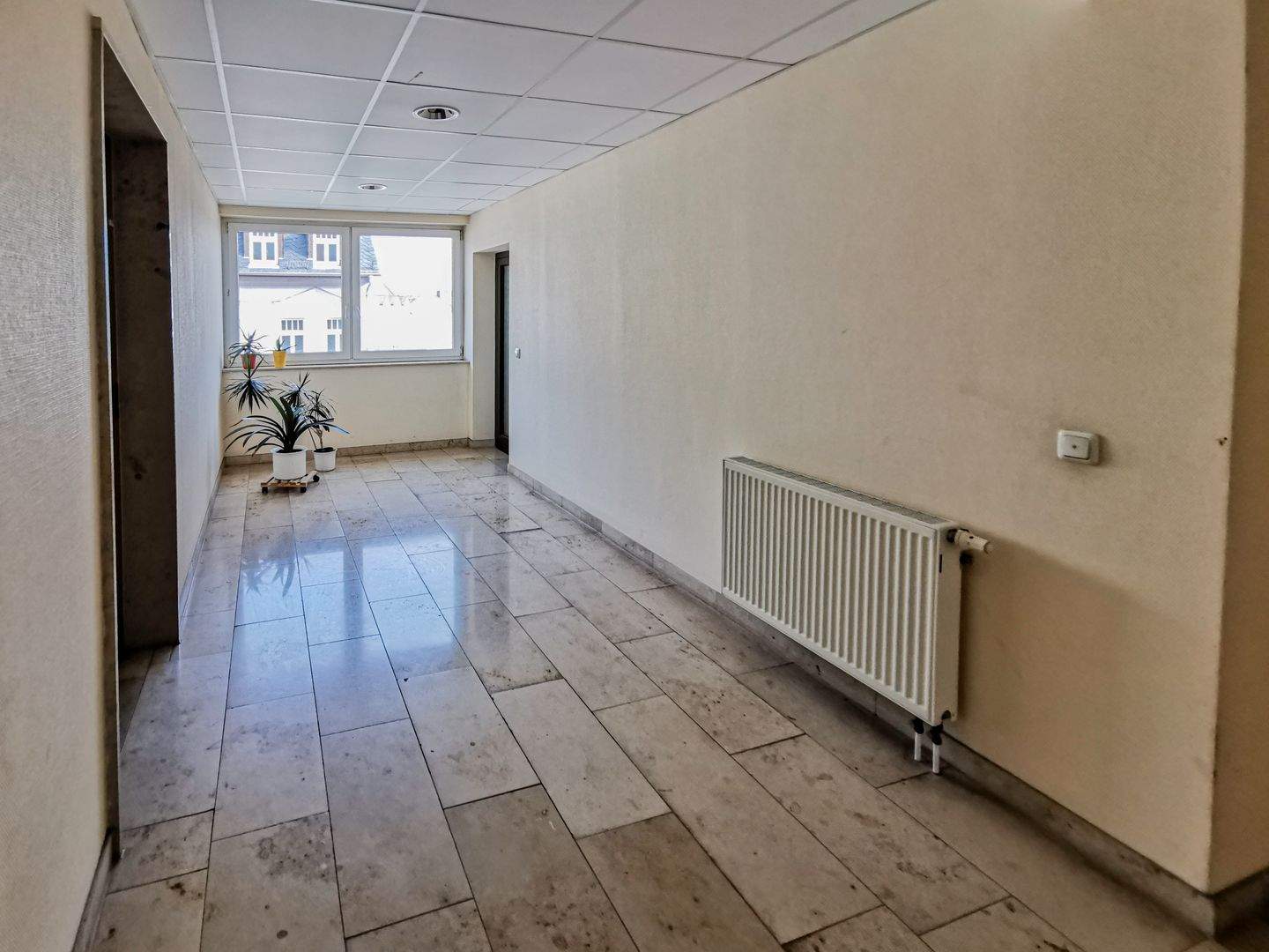 +++ Bezugsfrei! Charmantes 1-Zimmer-Apartment mit Badewanne, Aufzug und TG-Stellplatz +++ – Chemnitz – Vorschaubild 4