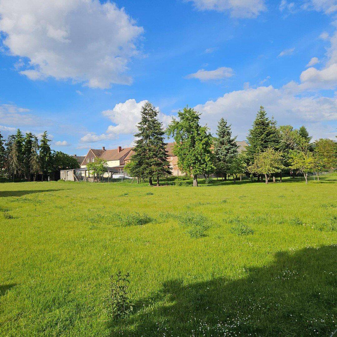 Hofanlage mit Wohnhaus, Scheune & ca. 5.000 m² Land - provisionsfrei – Jerichow – Vorschaubild 8