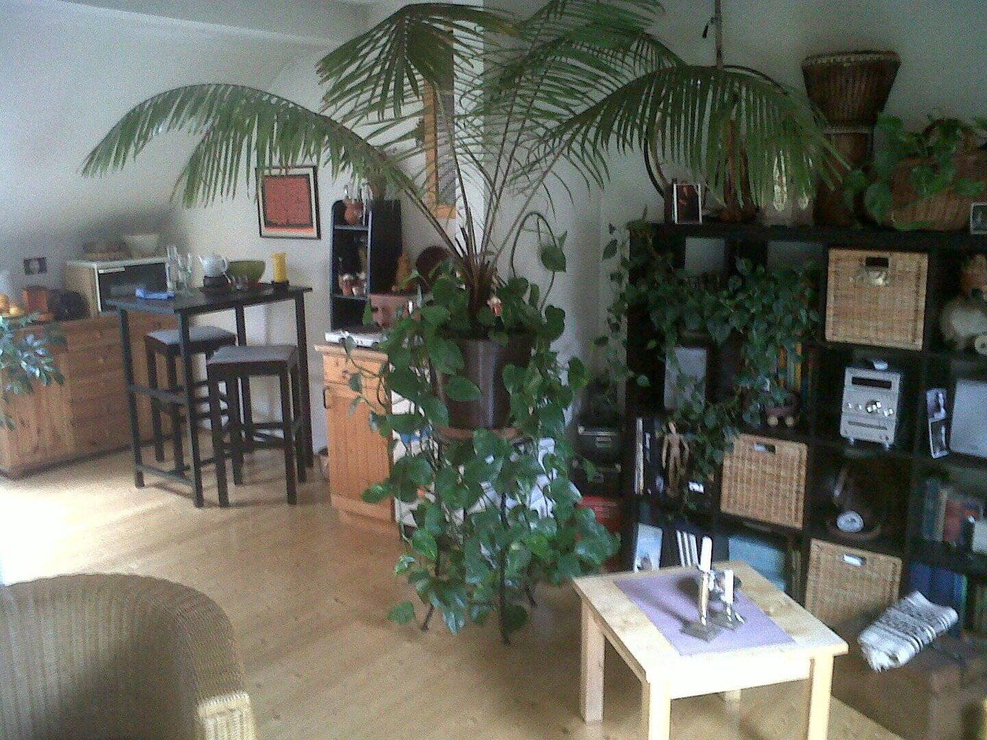 Schmuckstück 1 Zimmer DG-Apartment Aachen Innenstadt – Aachen – Vorschaubild 6