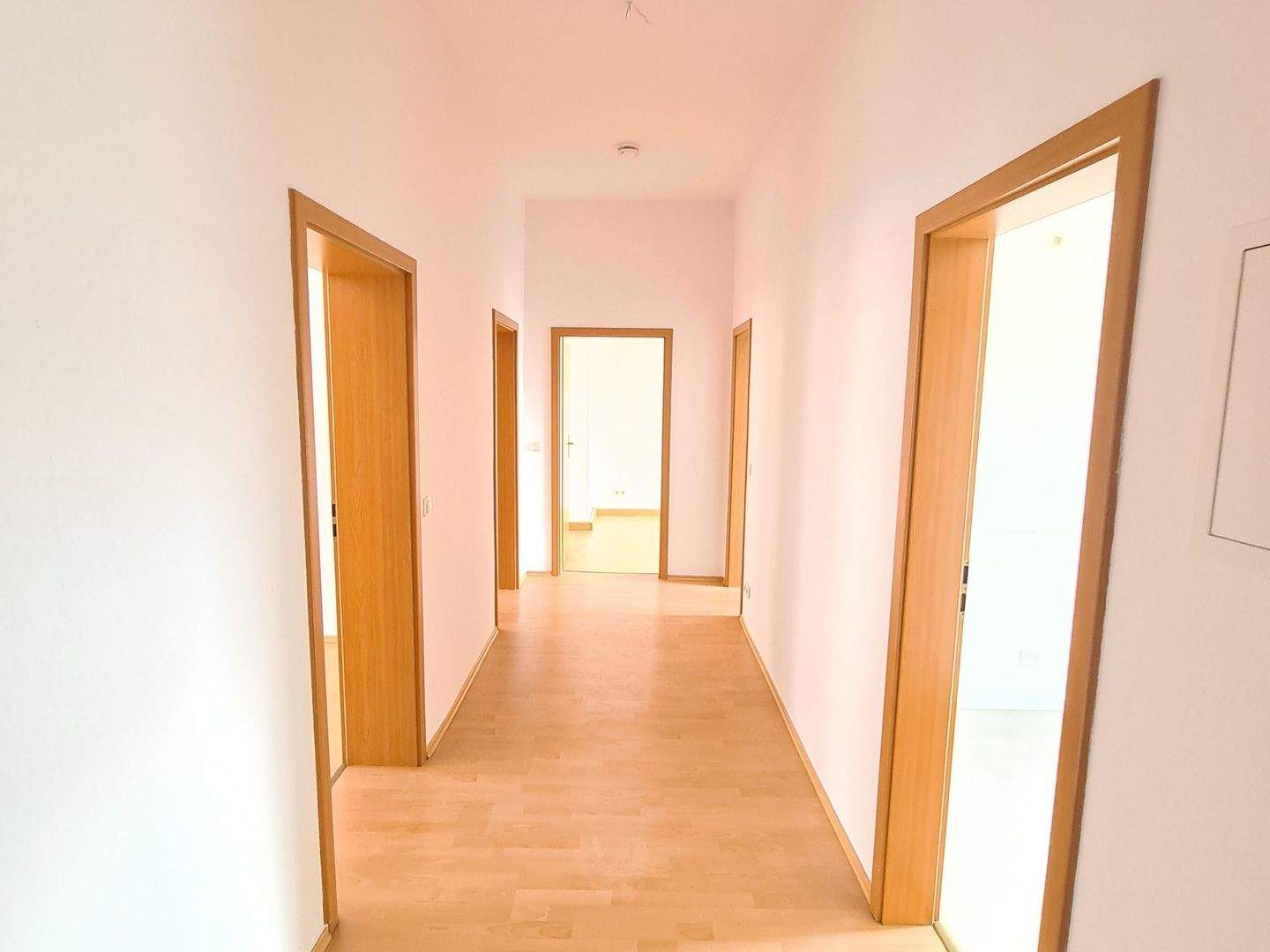 Charmante 3-Zimmer-Wohnung in Chemnitz mit Balkon – Chemnitz – Vorschaubild 2