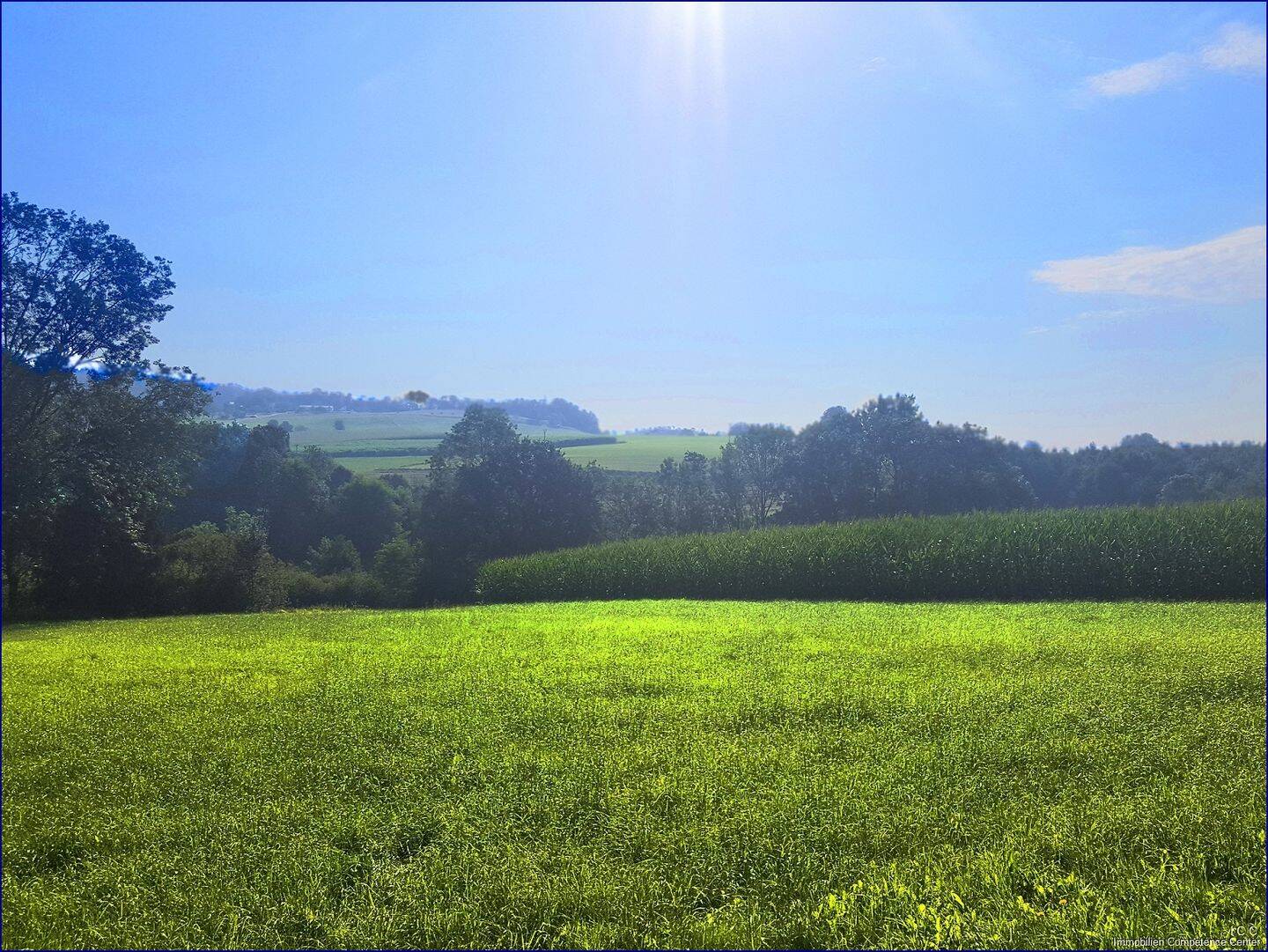 *** FESTPREIS: 250.000,- EUR *** Liebhaber-Sacherl in Alleinlage - ca. 6.500 m² Grund am Mühl-/ Prienbach - südlich von Stubenberg – Simbach am Inn – Vorschaubild 3