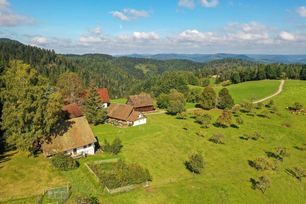 Außergewöhnliches Hofanwesen in Schiltach – Schiltach – Bild 1 von 9