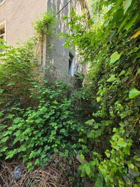 Grundstück mit ruinösem Haus – Meißen – Vorschaubild 4