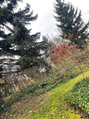 Gemütliches älteres Haus, Neubaupotential, evt. teilbar – 12526 Berlin – Vorschaubild 7