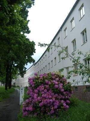 +++++ beliebtes Wohngebiet HEIMGARTEN/ Sachsenring+++++ – Chemnitz – Vorschaubild 3