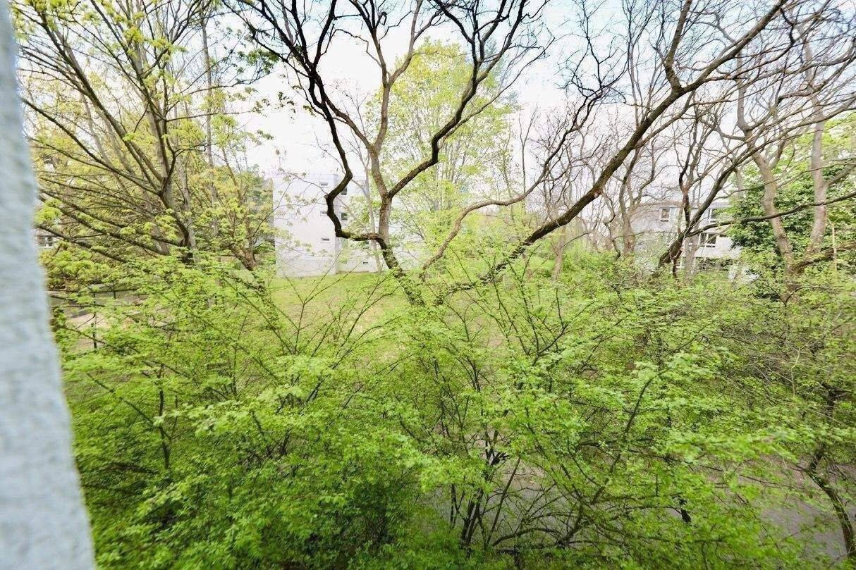 HELLE WOHNUNG MIT LOGGIA & BLICK INS GRÜNE - GUTER SCHNITT - BEZUGSFREI AB 07/2026 – Berlin – Vorschaubild 8