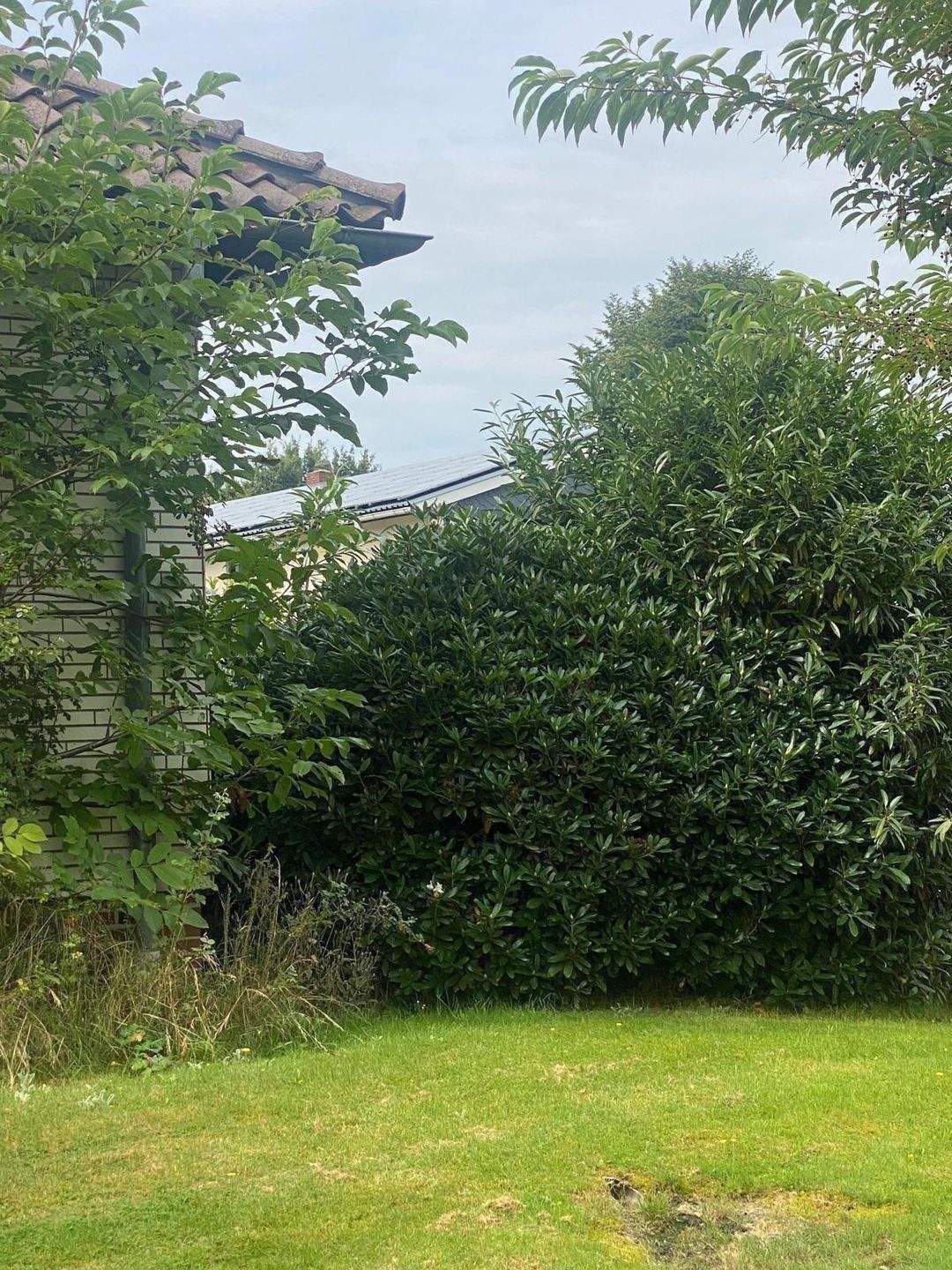 Viel Platz zum Leben und Investieren – Immobilienensemble auf großem Grundstück in Beverstedt – Beverstedt – Vorschaubild 6