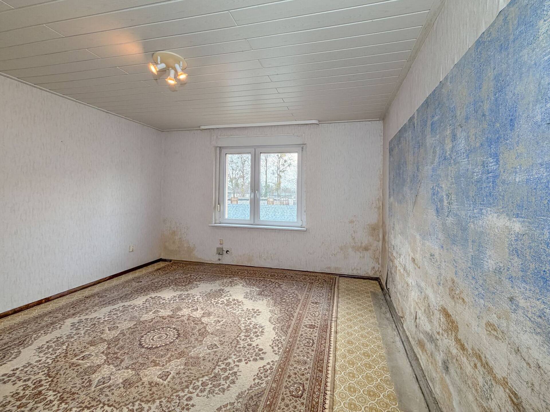 Haus in 06800 Raguhn-Jeßnitz mit 80 m² kaufen