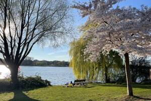 Zwischen Wasser und Weitblick - mehr als nur eine Adresse! – 22087 Hamburg – Vorschaubild 4