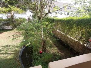Charmante 4-Zimmer-Gartenwohnung in ruhiger Lage – Ihr grünes Refugium in München-Ramersdorf – 81549 München – Vorschaubild 5