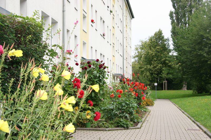 Wer hat da schlechte Laune? Sonnige 2-Zimmer-Wohnung – Chemnitz – Vorschaubild 2