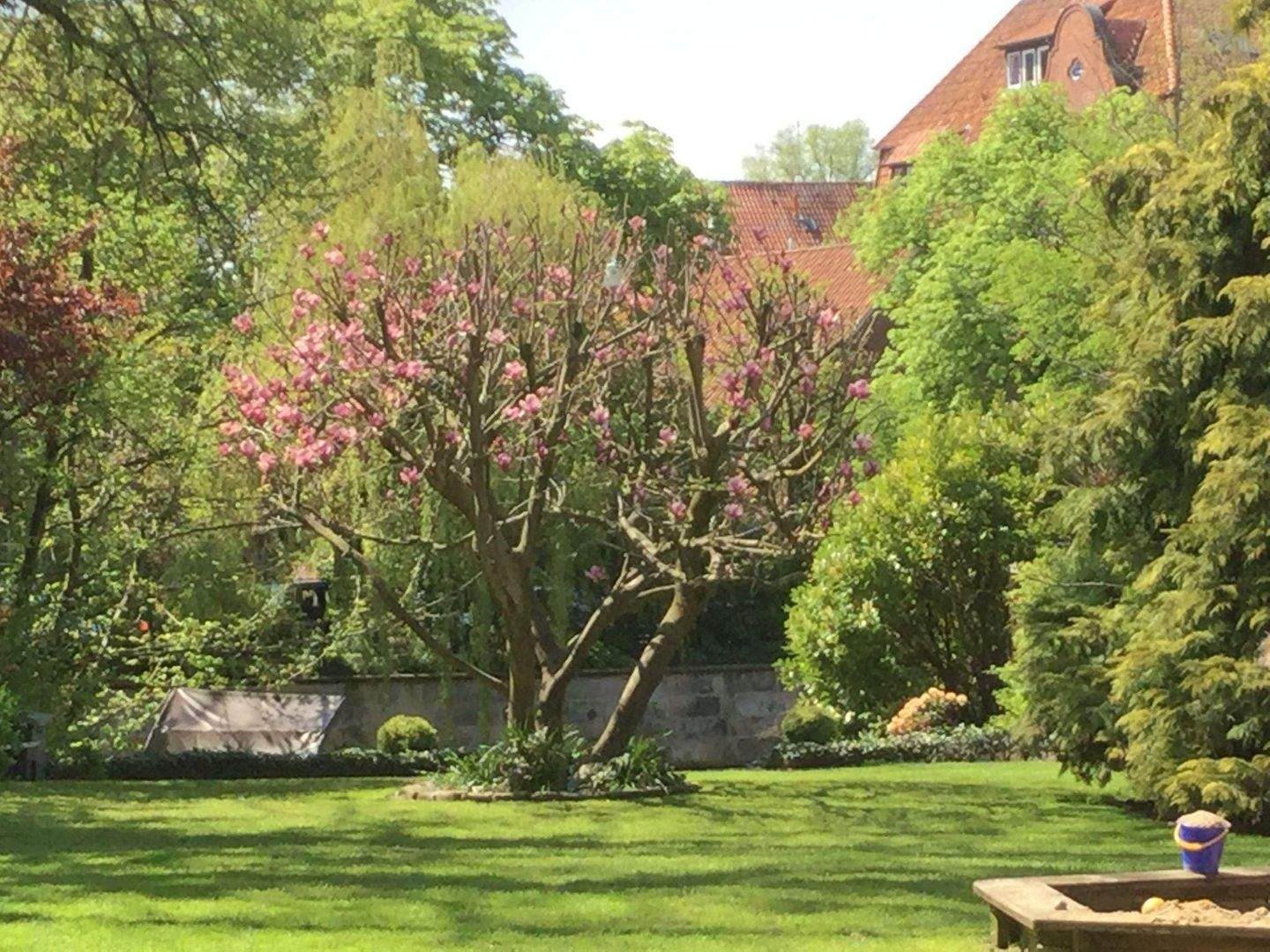 Historische Stadtvilla in Lüneburg – Kapitalanlage mit Eigennutz-Option, Garten & Ilmenaublick – Lüneburg – Vorschaubild 4