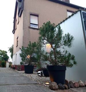 EFH + Werkstatt-Nebengebäude auf ca. 3.555 m² gr. Bau-GS - 9 Räume, 3 Garagen, , Gartenteich u.v.m. – 4288 Leipzig – Vorschaubild 5