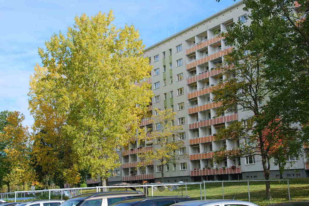 Ebenerdig erreichbare Familienwohnung mit Balkon – Chemnitz – Vorschaubild 5