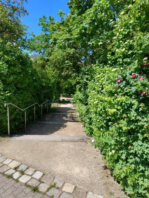 Grün, grün, grün…2Raumwohnung in bester Lage! – Erlangen – Vorschaubild 4