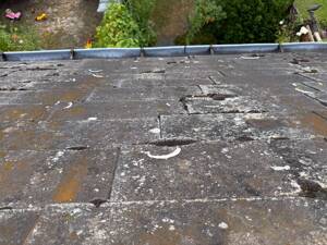 Charmantes kleines Reihenhaus mit Garten zum Renovieren – 12309 Berlin – Vorschaubild 8