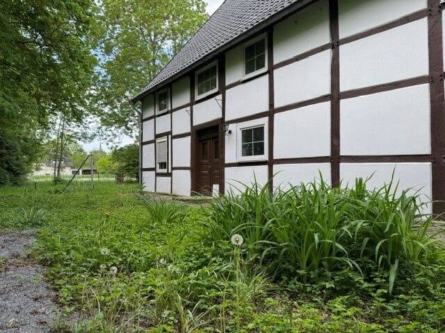 Tierliebhaber aufgepasst ! – Bad Sassendorf – Vorschaubild 9