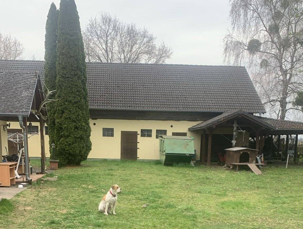 Einfamilienhaus in attraktiver Lage zu vermieten! – Altlandsberg – Vorschaubild 6