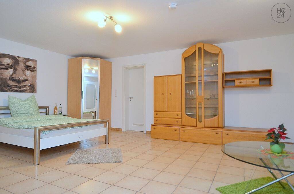 Helles möbliertes 1-Zimmer-Apartment ideal zum Südwestpark – Nürnberg – Vorschaubild 7