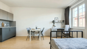 Studio-Apartment zu vermieten (Dresden) – 1307 Dresden – Vorschaubild 3