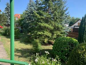 3-Raum-Wohnung zu vermieten – 99087 Erfurt – Vorschaubild 9