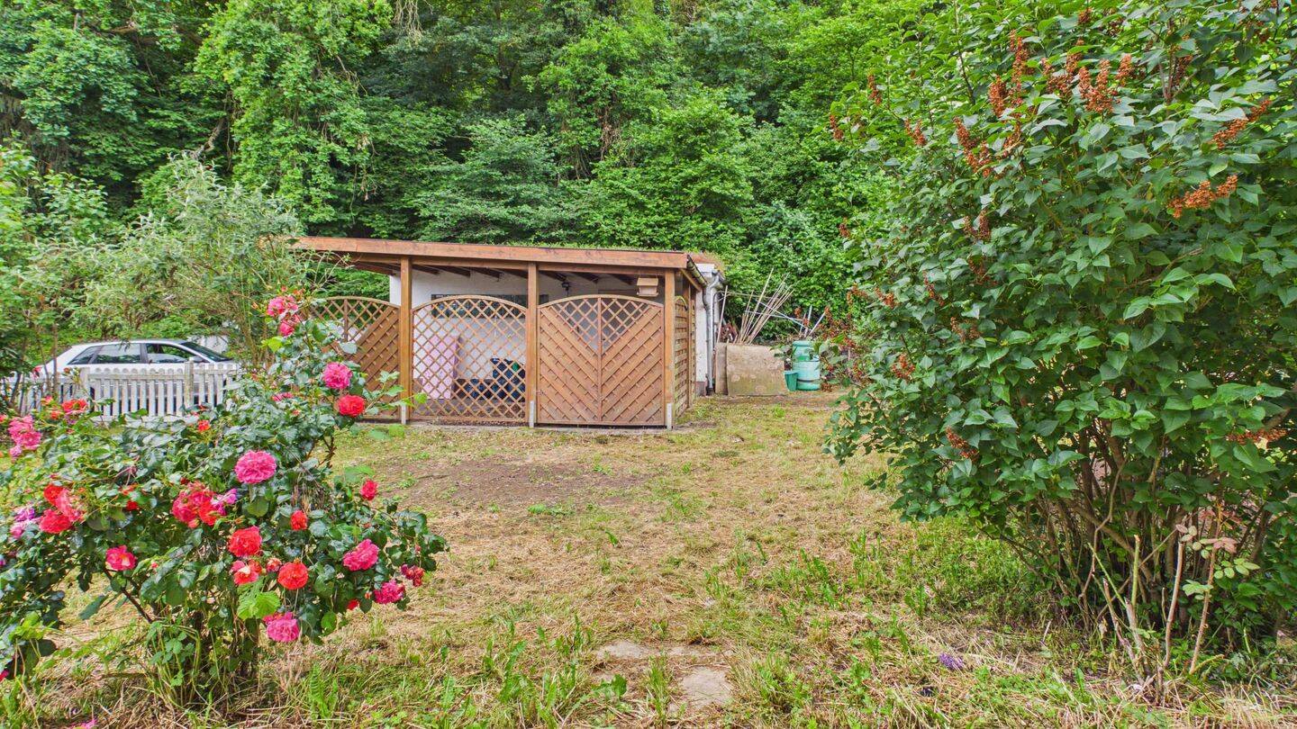 Lichtdurchflutetes Wohnhaus mit Einliegerwohnung in ruhiger Lage – Staudernheim – Vorschaubild 4