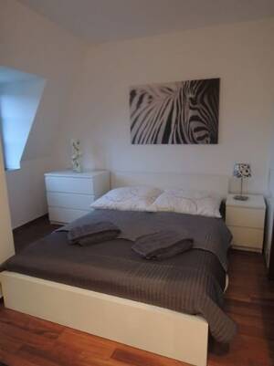 Möbliertes 1-Zimmer-Appartment mit Geothermieheizung in der Nähe der Fußgängerzone – 90762 Fürth – Vorschaubild 5