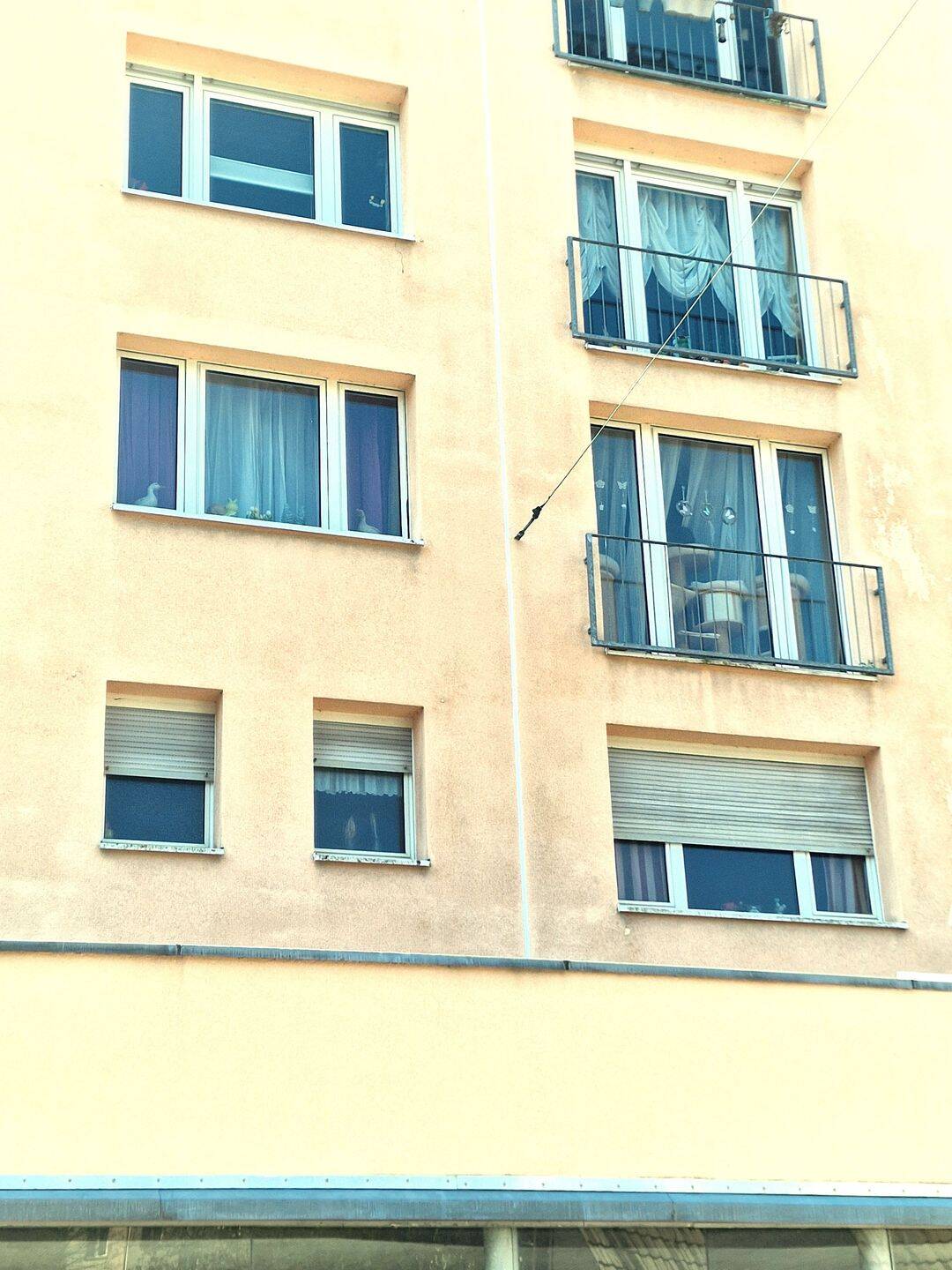 IMWRC – Ideal für Studenten: Elberfeld bietet 1-Zimmerappartement in Uni-Nähe!