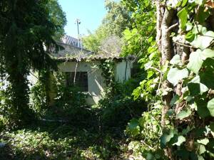 Charmantes Siedlungshaus mit Sanierungsbedarf in begehrter Lage von Niederschönhausen! – 13156 Berlin – Vorschaubild 7