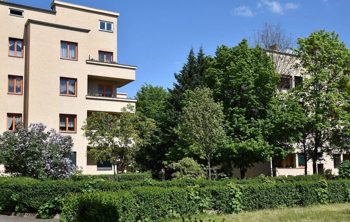 2-Raumwohnung im Erdgeschoss - Erstbezug nach Sanierung in Eutritzsch – Leipzig – Vorschaubild 2