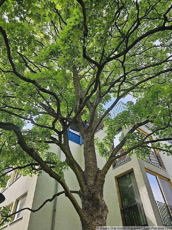 PENTHOUSE - IN BERLIN-ROSENTHAL-SÜD - 2 ZIMMER - TERRASSE & TG-PLATZ – Berlin – Vorschaubild 4