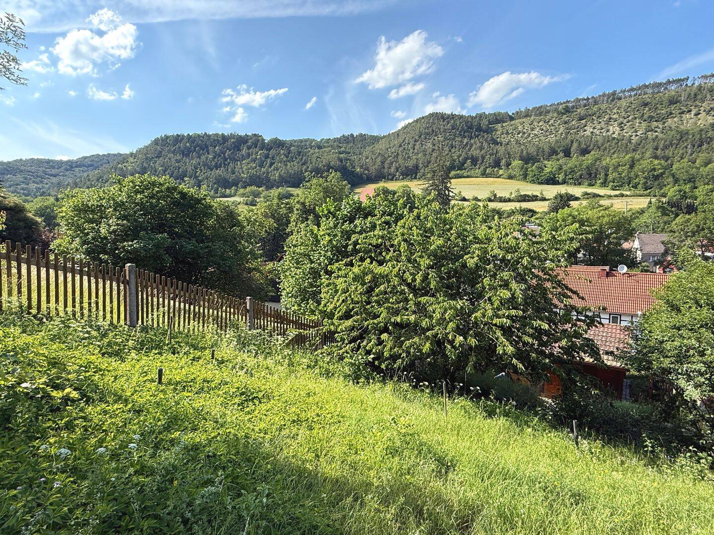 Traumhaft schönes Wochenendhaus auf einem Südhang-Grundstück in Jena-Leutra zum Verkauf – Jena – Vorschaubild 3