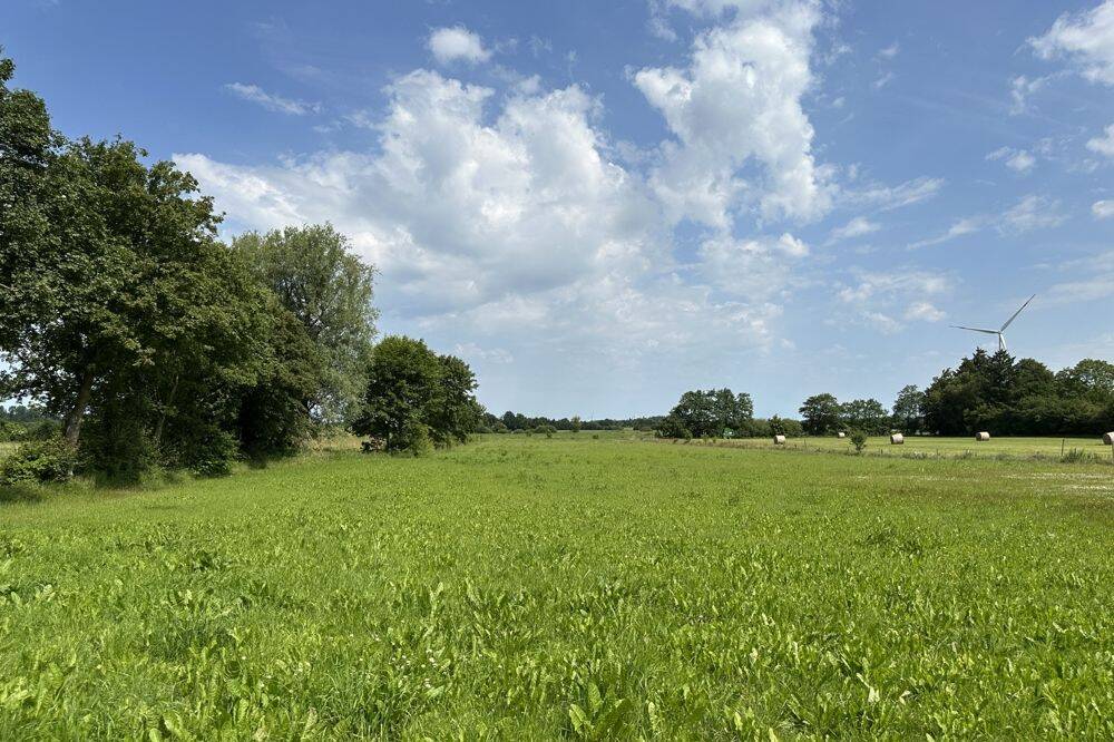 Großzügiges, sehr gepflegtes Anwesen mit Weide am Haus in Karlum – Karlum – Vorschaubild 6
