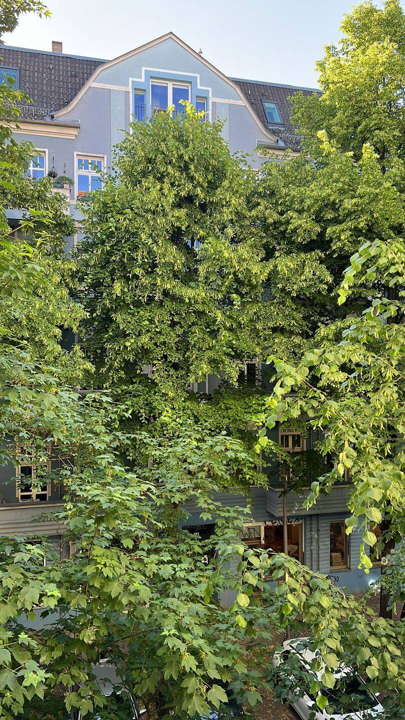 Altbau - Charme im F´hain : 2-Zimmer mit Vollbad & Balkon – Berlin – Vorschaubild 5
