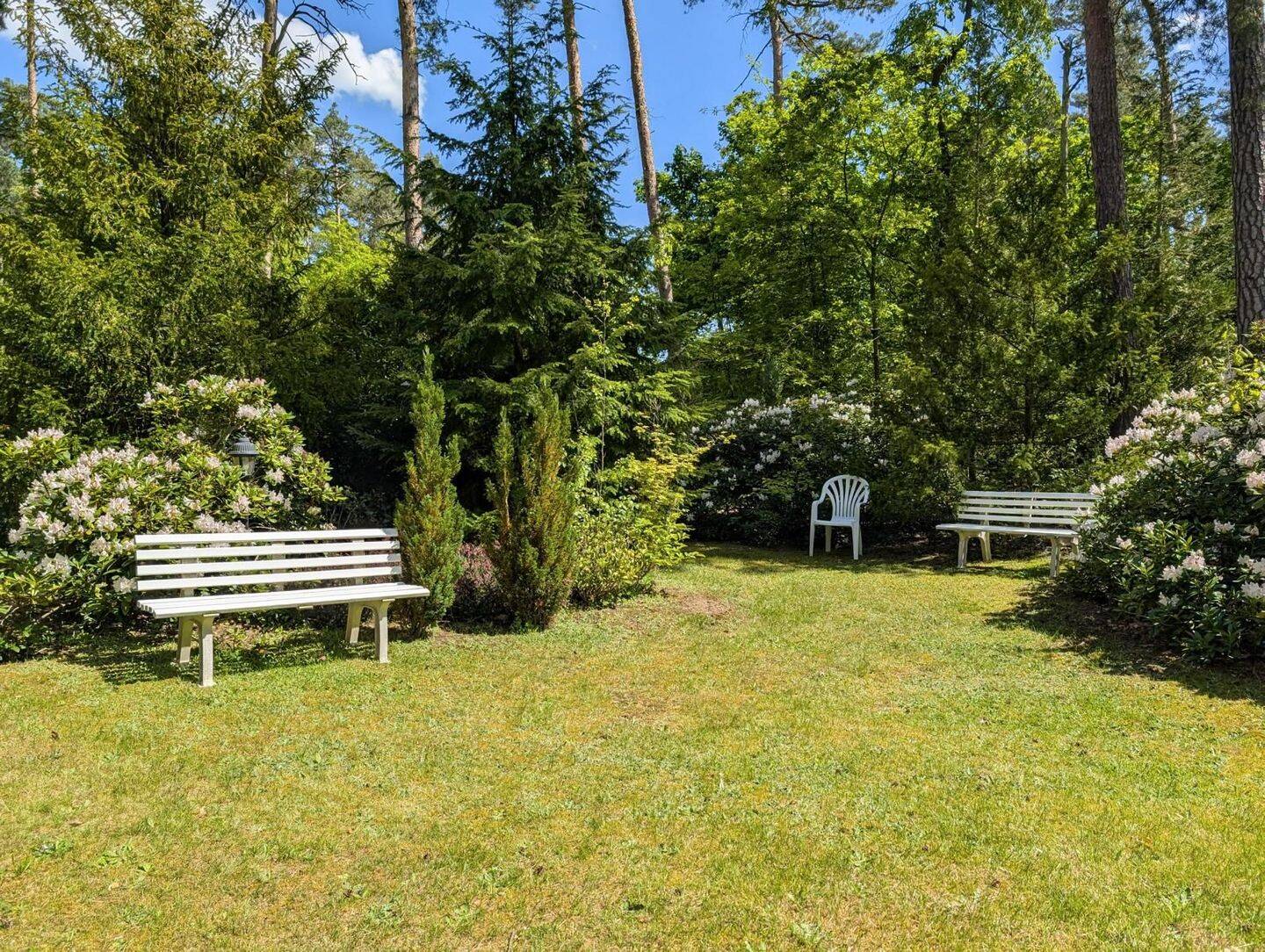 Idyllisches Wochenendhaus in der Dübener Heide - Großes Grundstück in himmlischer Ruhe – Bad Düben – Vorschaubild 6