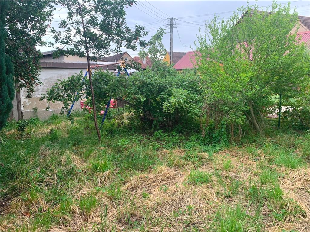 Charmantes Einfamilienhaus mit Garten in zentraler Lage. – Langenenslingen – Vorschaubild 3