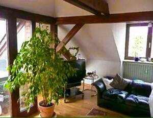 Mehrfamilienhaus Regensburg Reinhausen – 93059 Regensburg – Vorschaubild 4