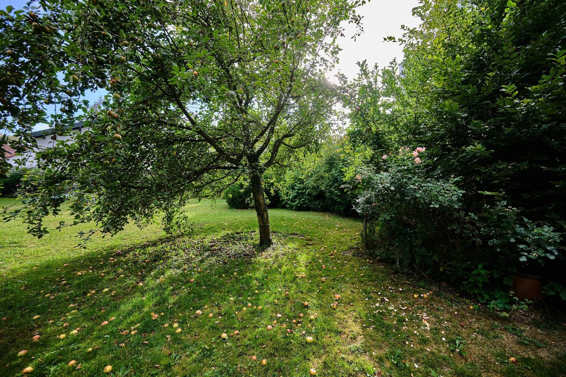 Haus in 94315 Straubing mit 178,33 m² kaufen