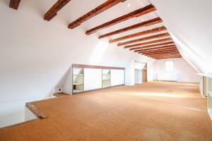 Loftartiges EFH mit Einliegerwohnung & zwei Dachterrassen in Toplage von Mainz-Gonsenheim – 55124 Mainz – Vorschaubild 4