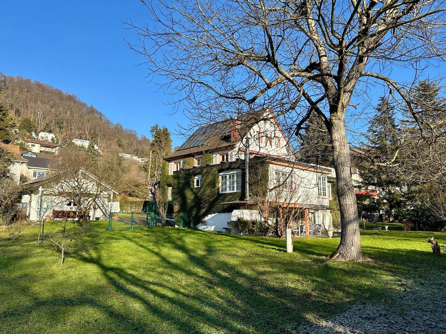 Stilvolle 290 qm Villa mit PV -Anlage am Emilienpark als Ein- oder Zweifamilienhaus nutzbar, grosser Garten, u.v.m. – Grenzach-Wyhlen – Bild 1 von 9