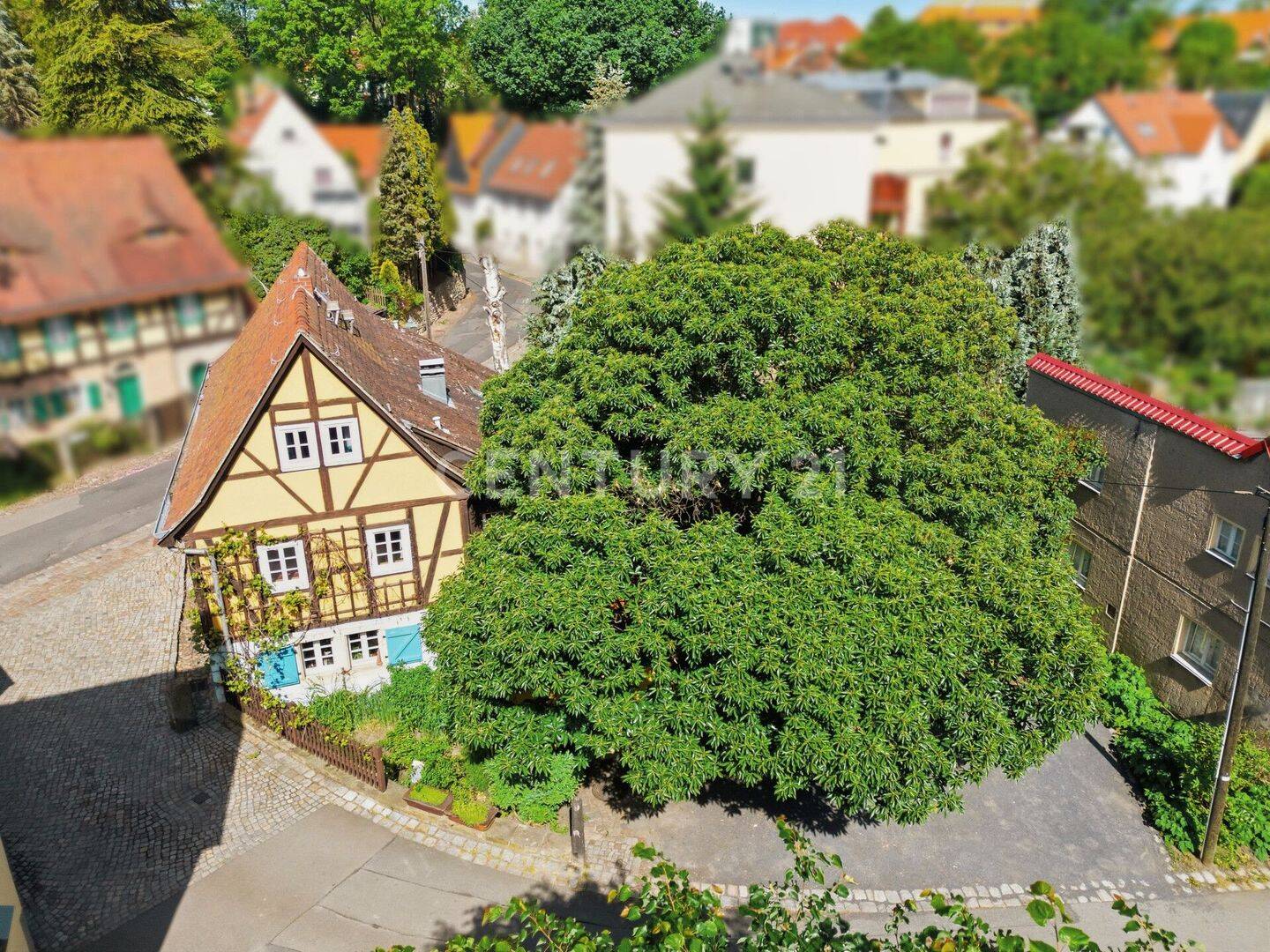 Historisches Liebhaberobjekt – Dresden – Vorschaubild 9
