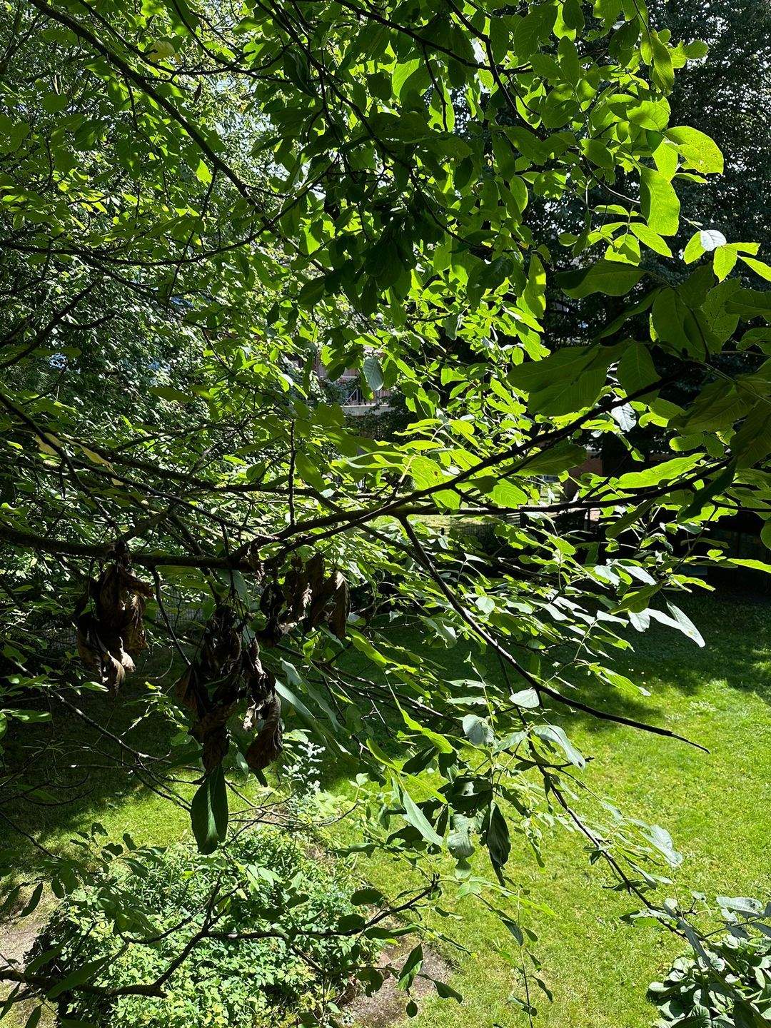 Schöne 2-Zimmer-Wohnung in Billstedt – Hamburg – Vorschaubild 8