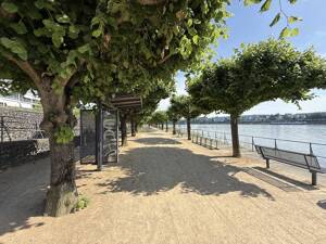 BONN BEUEL, direkte Rheinlage, top 4 Zi. Wohnung ca. 156 m² Wfl. Sonnenbalkon, Aufzug, Kfz. Stellpl. – 53225 Bonn – Vorschaubild 5