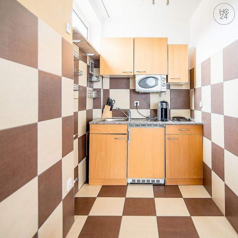 Schönes und modern möbliertes Apartment mit Balkon und WLAN nahe Nürnberg Hauptbahnhof – Nürnberg – Vorschaubild 9