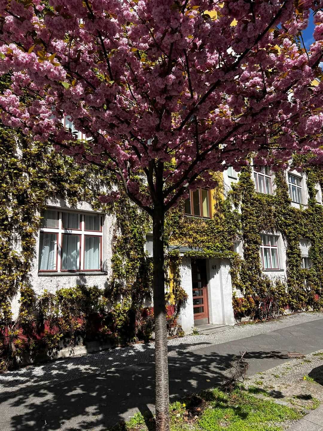PBerg! Gemütliche und ruhige 2-Zimmer Wohnung mit Balkon im Denkmalschutz Ensemble – Berlin – Vorschaubild 9