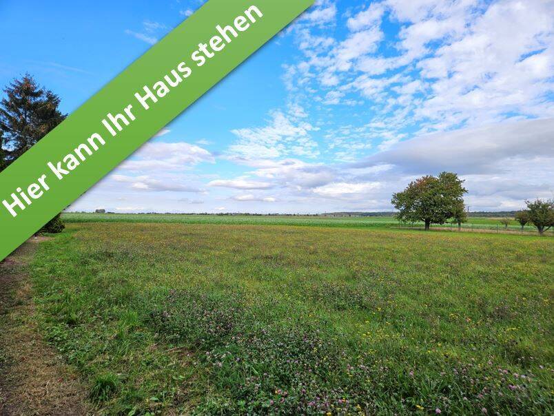 Familienleben auf einer Ebene im kommenden Baugebiet in Cramme. – Cramme – Bild 1 von 9